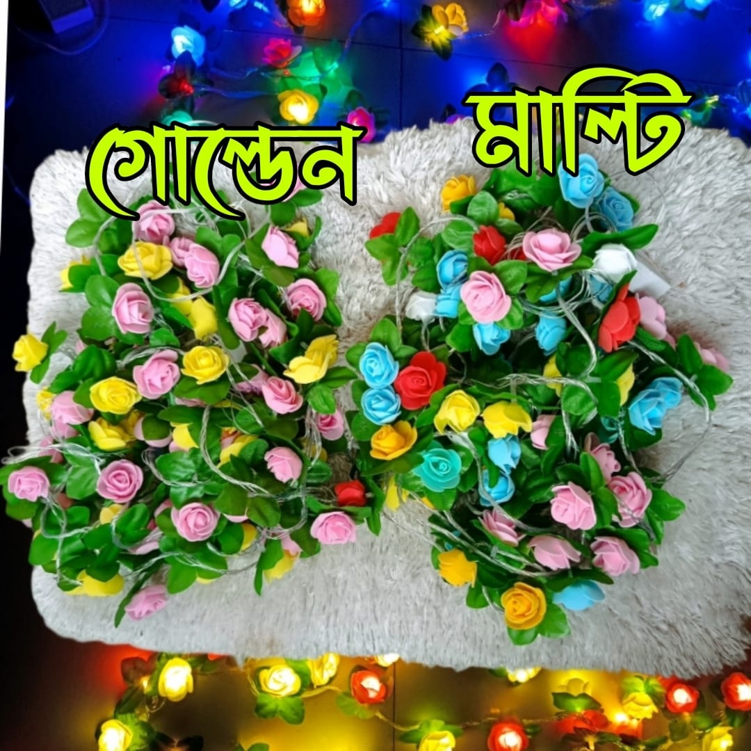 Rose Fairy Light (পাতা যুক্ত)_img_1