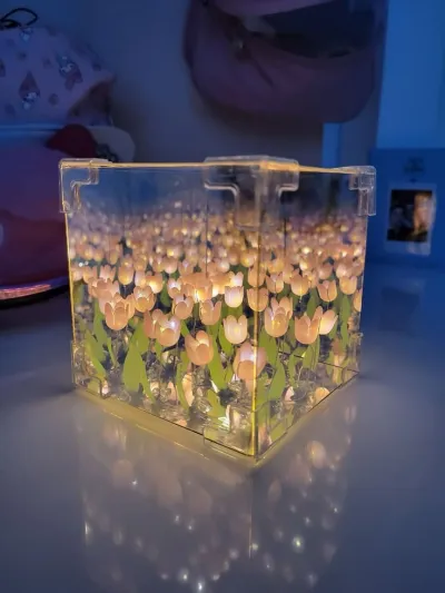 DIY Infinity Tulip Mirror Lamp Square_img_0