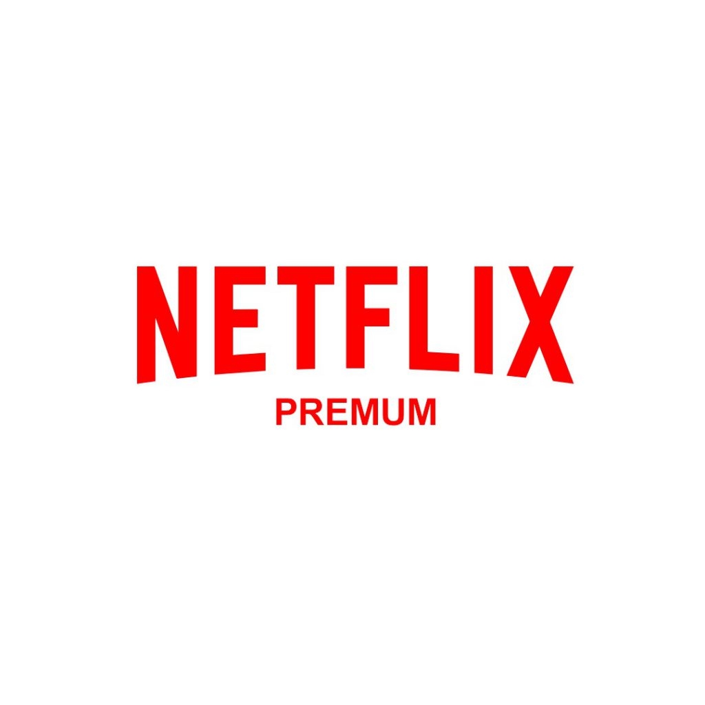 Netflix Plan