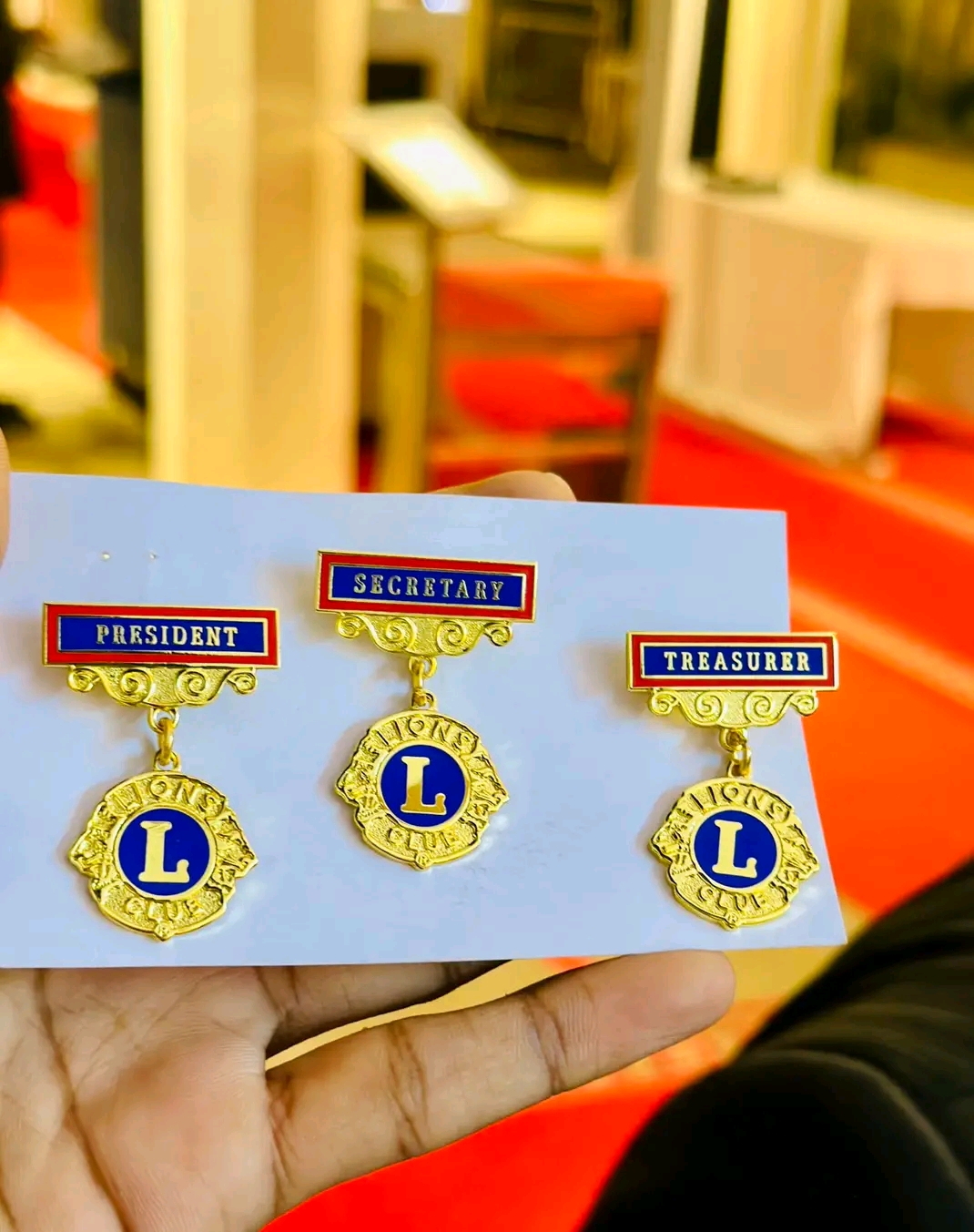 Lions Cabinet Pin set
