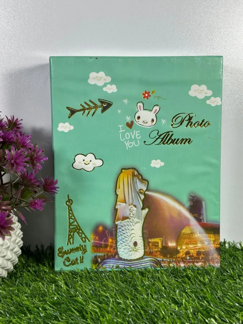 40 Photos Capacity Box Album (Copy)