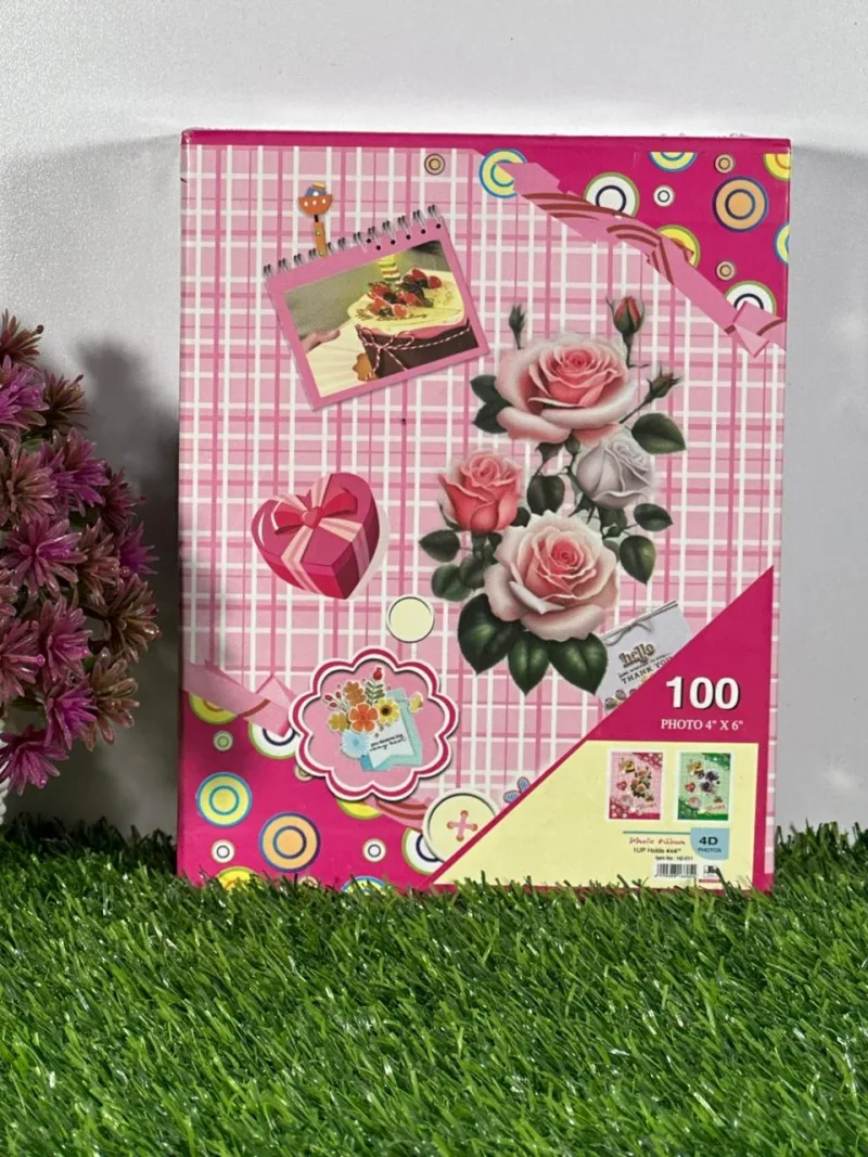 100 Photos Capacity Box Album