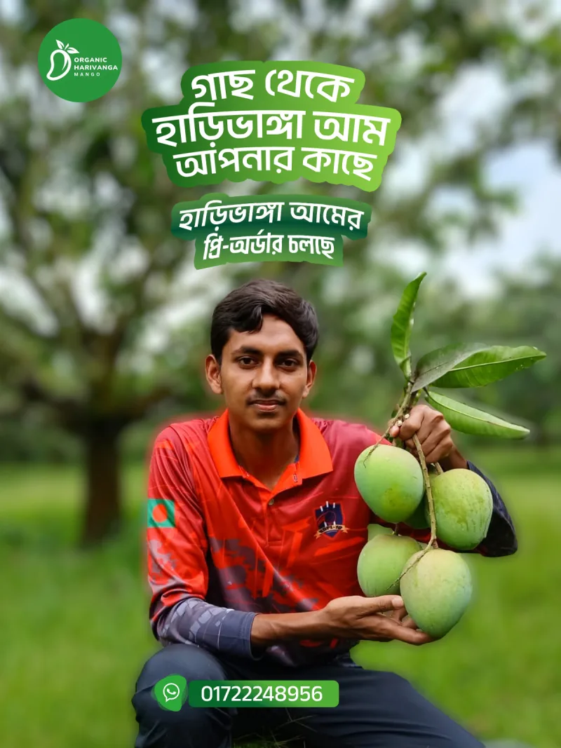 প্রিমিয়াম হাড়িভাঙ্গা আম - ১০ কেজি ক্যারেট- পয়েন্ট ডেলিভারি