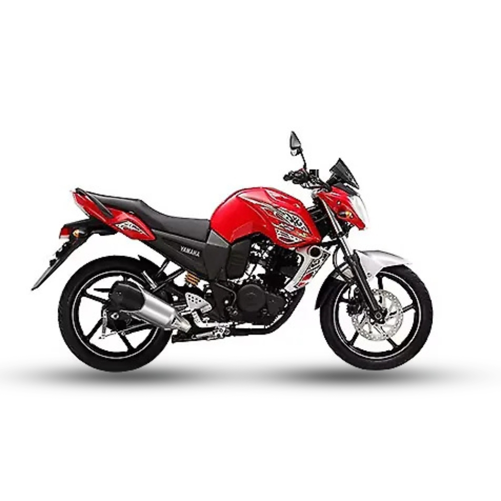 FZS V1