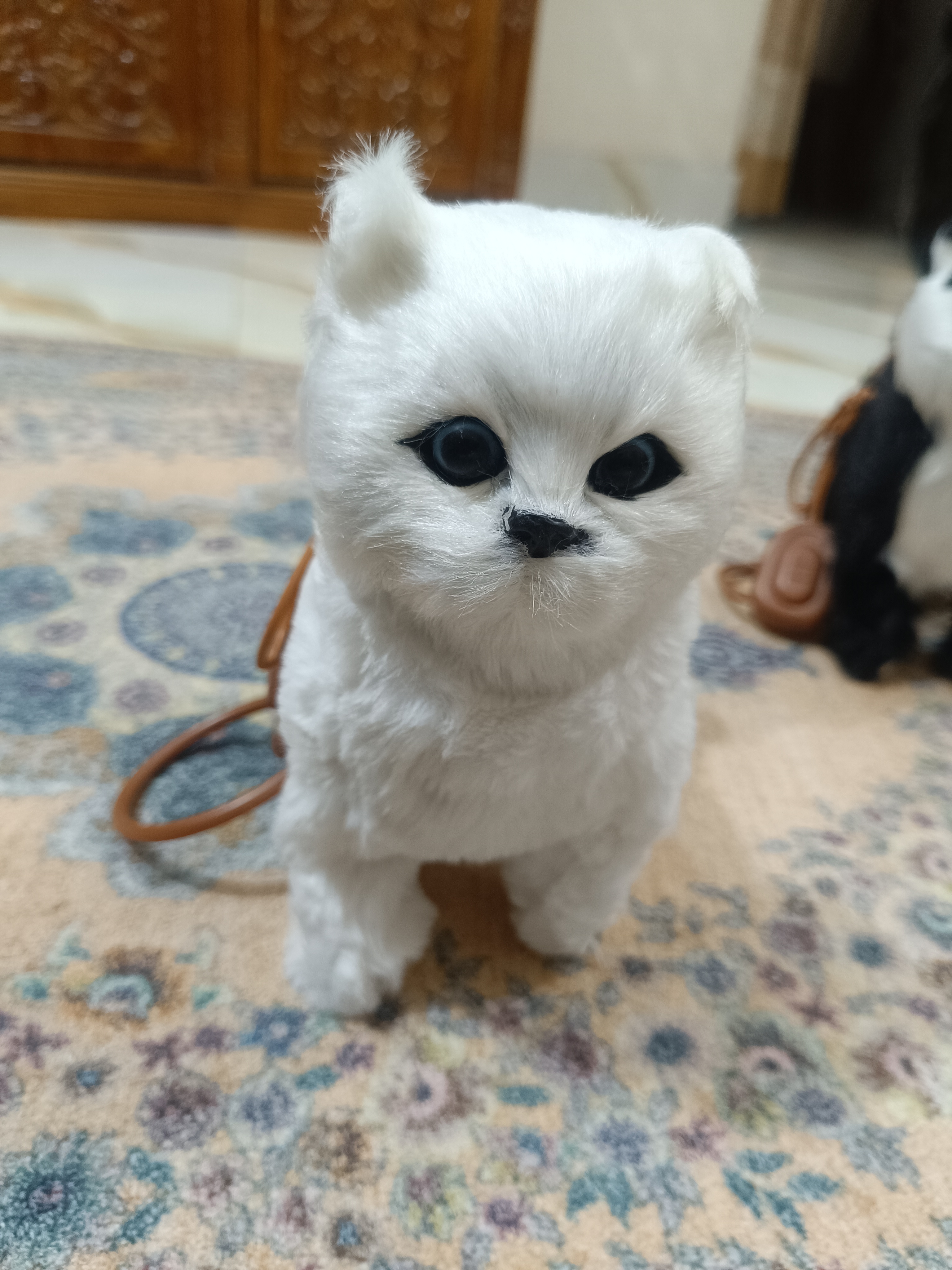 🐱 Walking & Meowing Interactive Toy Cat – Cute Electronic Pet Toy_img_2