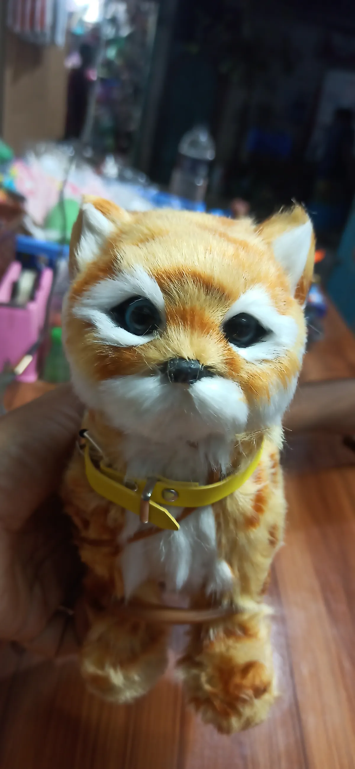 🐱 Walking & Meowing Interactive Toy Cat – Cute Electronic Pet Toy