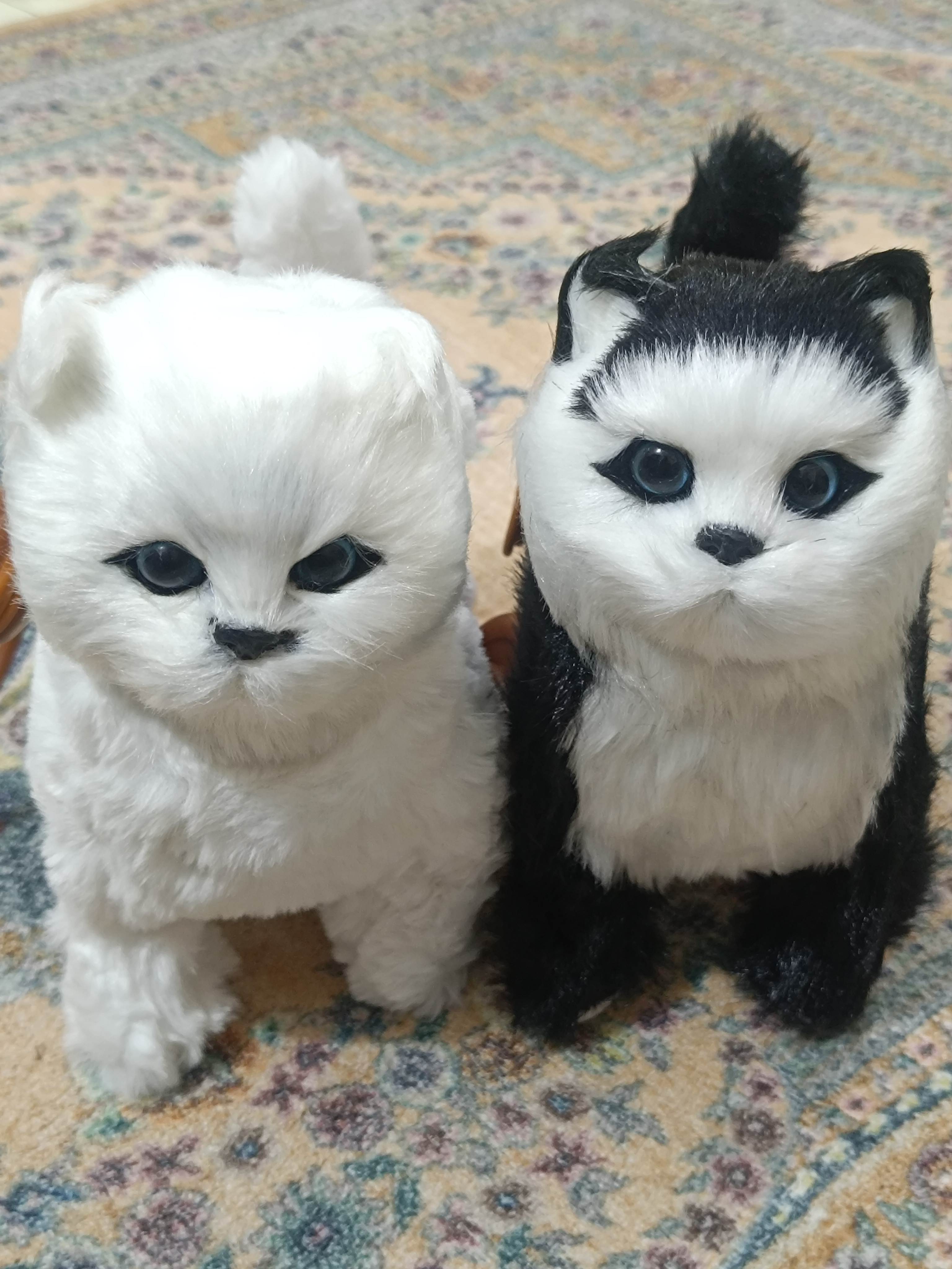 🐱 Walking & Meowing Interactive Toy Cat – Cute Electronic Pet Toy