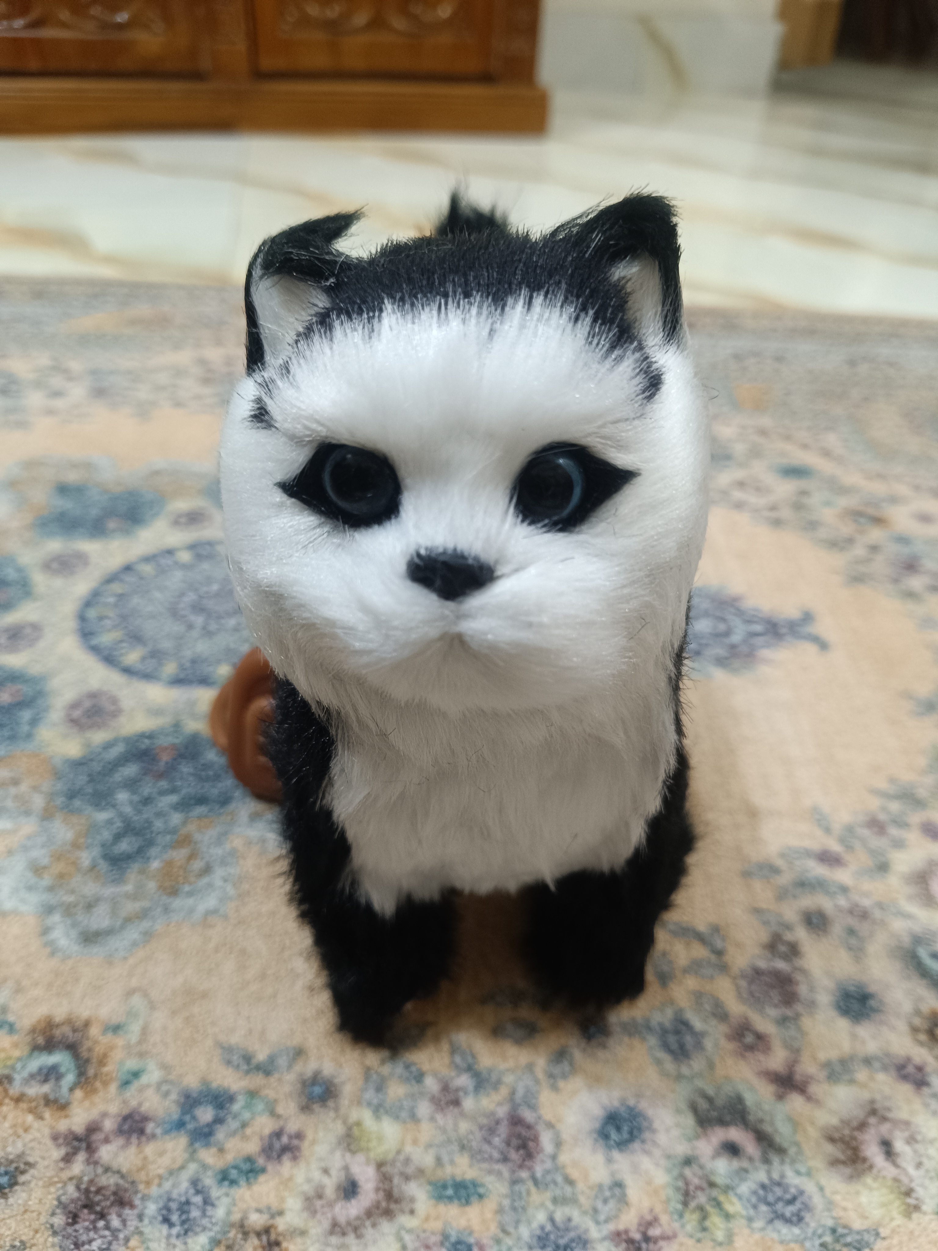 🐱 Walking & Meowing Interactive Toy Cat – Cute Electronic Pet Toy_img_1