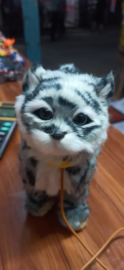 🐱 Walking & Meowing Interactive Toy Cat – Cute Electronic Pet Toy_img_1