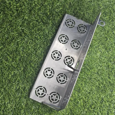 Premium SS Star Silencer Gourde For Tvs Raider_img_3