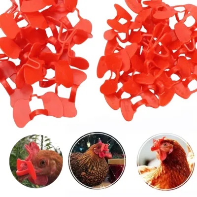 Chicken Glasses মুরগির জন্য (১০ পিস)_img_2