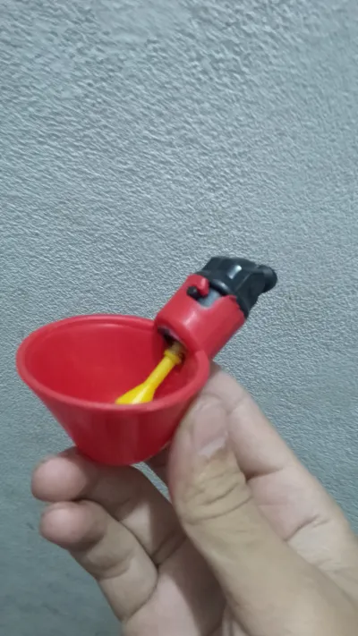 A single small red water bowl_img_2