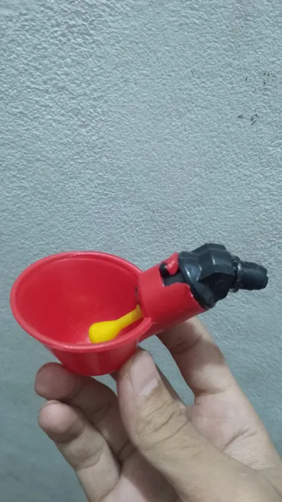 A single small red water bowl_img_1