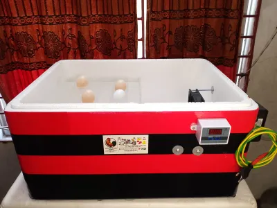 ১৩০+ ডিমের ম্যানুয়াল এসি ইনকিউবেটর_img_0