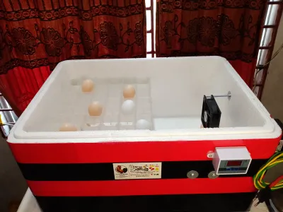 ১৩০+ ডিমের ম্যানুয়াল এসি ইনকিউবেটর_img_1
