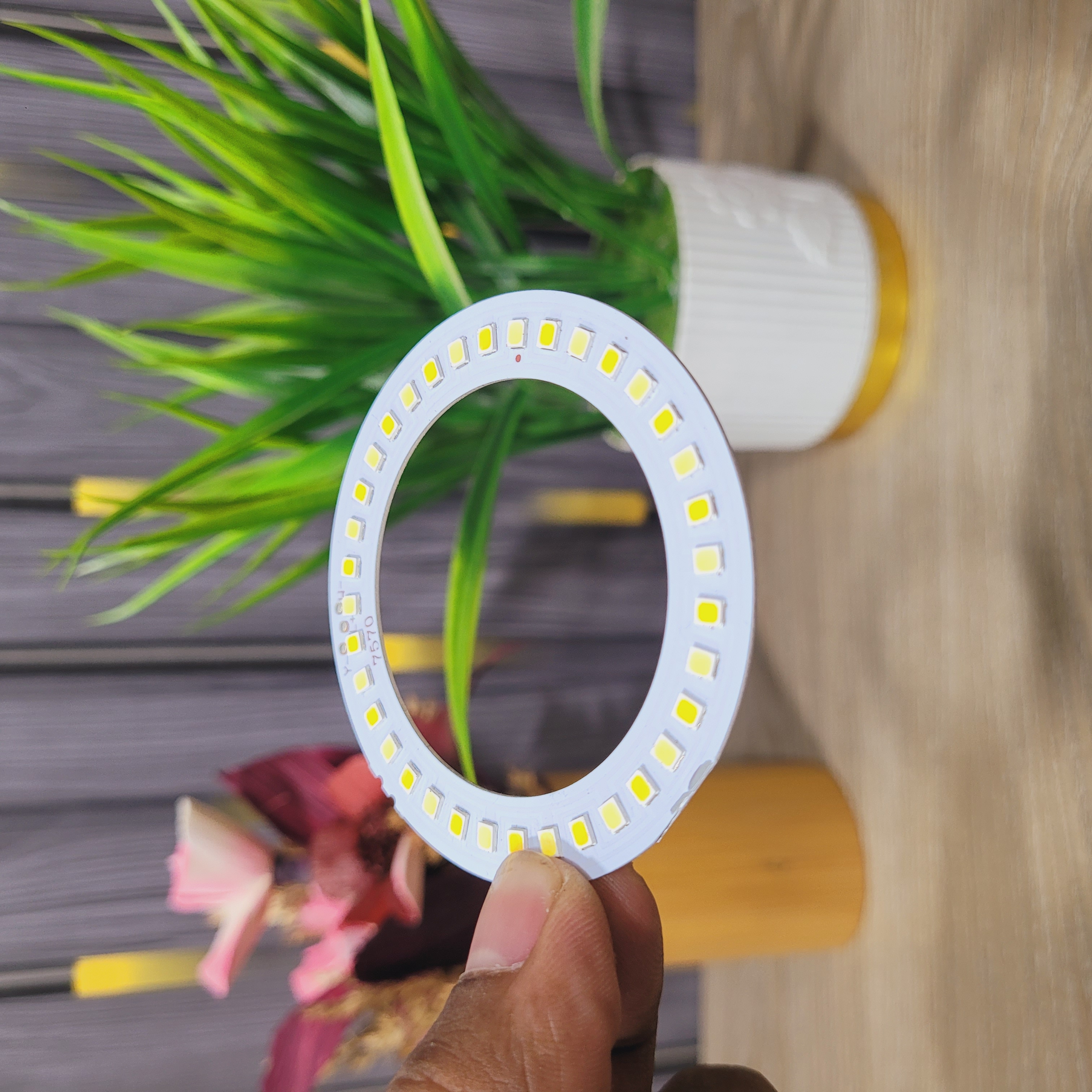 4V 10W Dual Color Ring LED Light Module White + Warm White_img_1