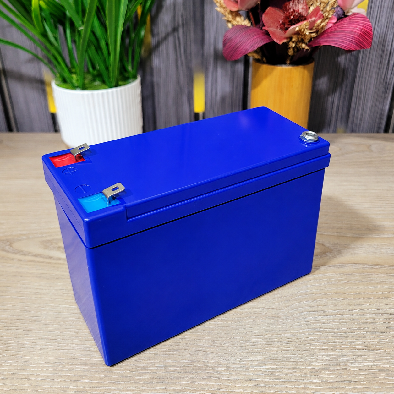12V 12Ah LiFePO4 Battery 50A BMS 1.2A Active Balancer with Extra DC Female Port 32700 8P Battery Pack_img_2