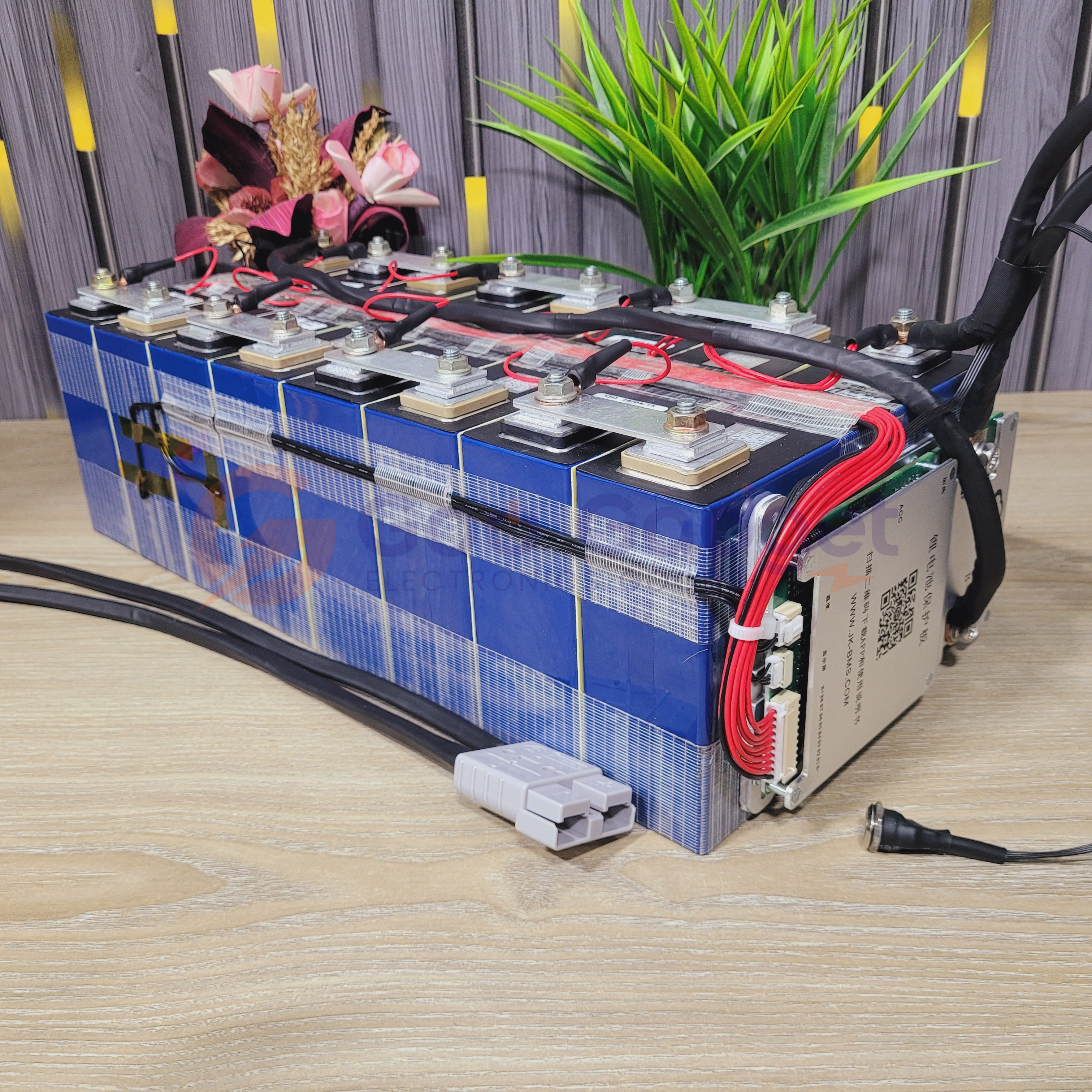 24V 100Ah LiFePO4 Battery Pack with JK 100A/200A Smart BMS and 1A Active Balancer for Solar, UPS & Home IPS_img_3
