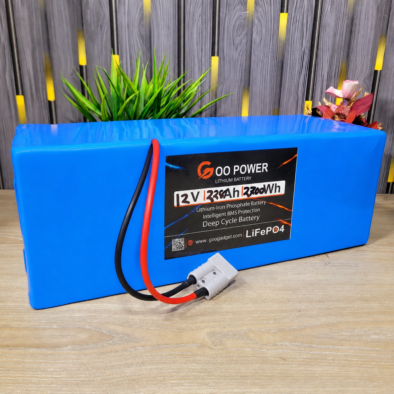 12V 228Ah LiFePO4 Prismatic Battery With JK 100A Smart BMS & 1A + 6A Active Balancer_img_1