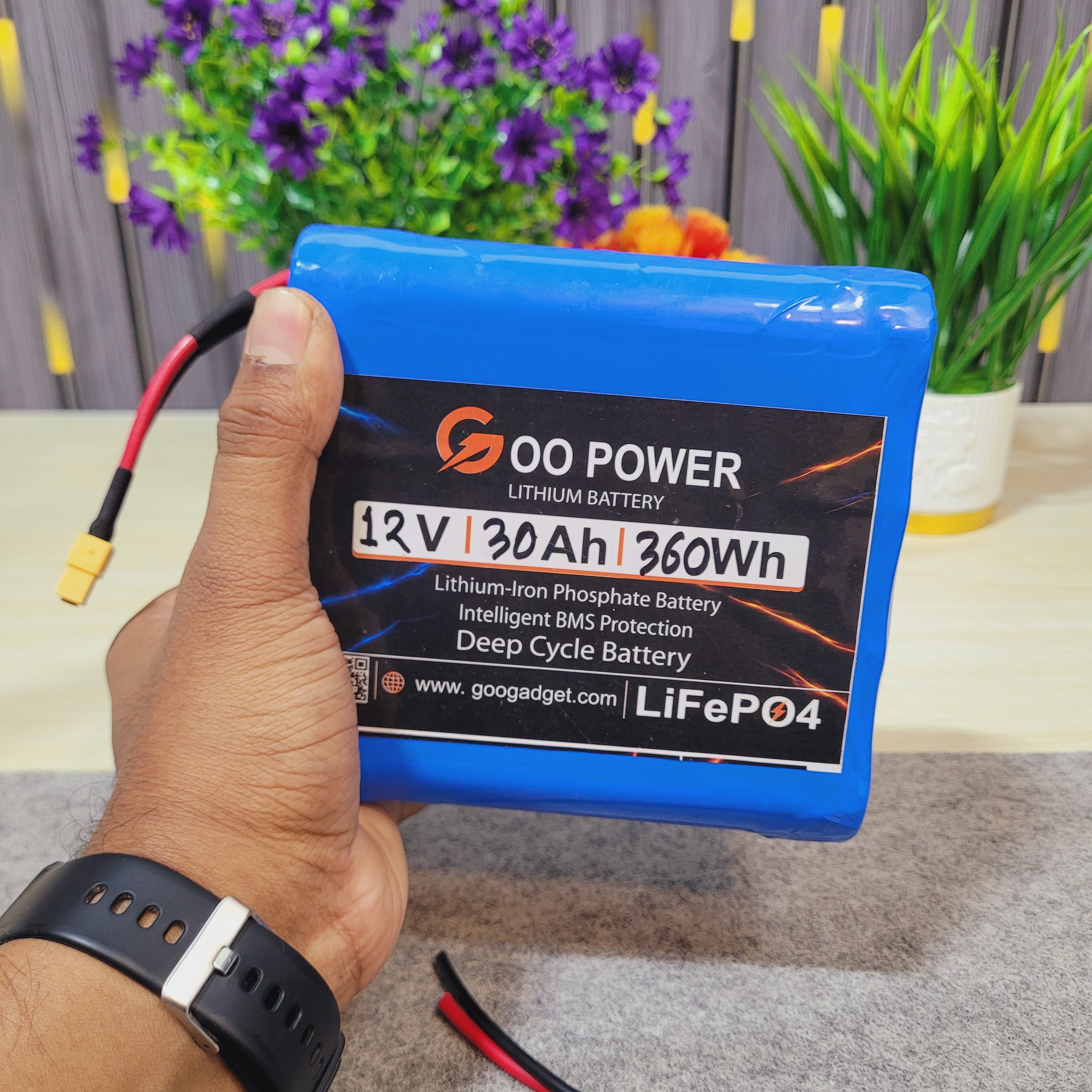 12V 30Ah LiFePO4 Battery Pack | 4S2P | 100A BMS | XT60 & Battery Level_img_0
