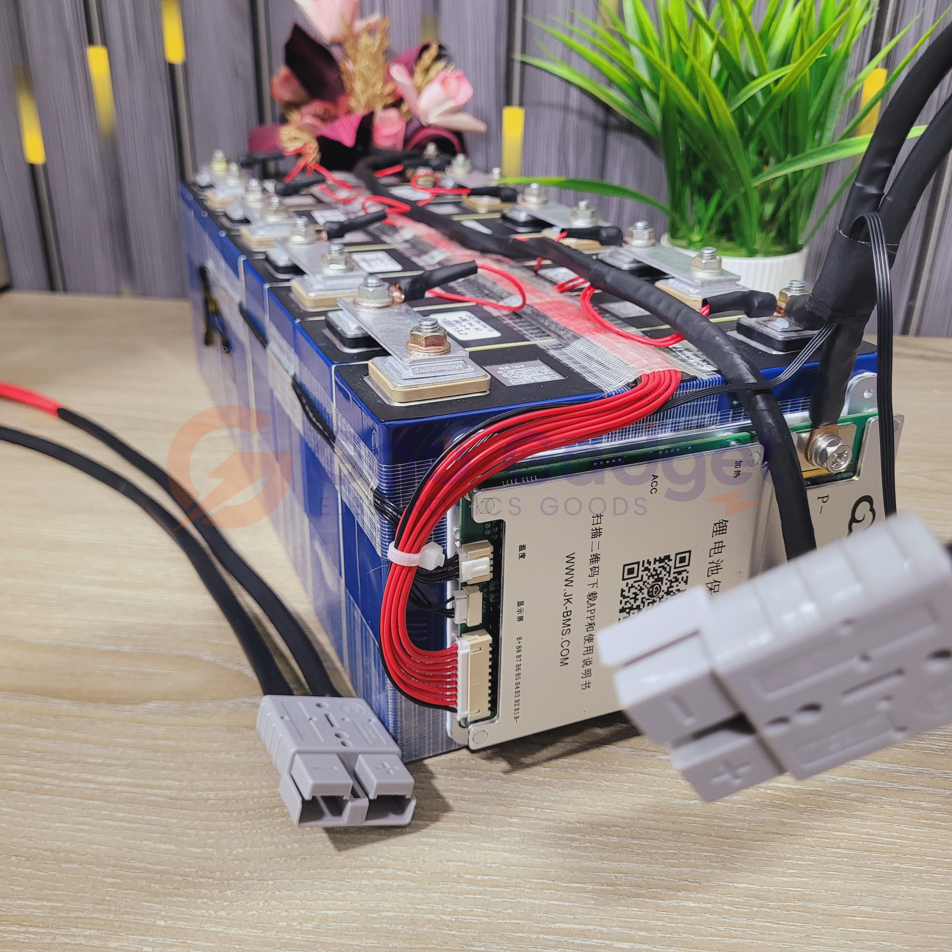 24V 100Ah LiFePO4 Battery Pack with JK 100A/200A Smart BMS and 1A Active Balancer for Solar, UPS & Home IPS_img_2