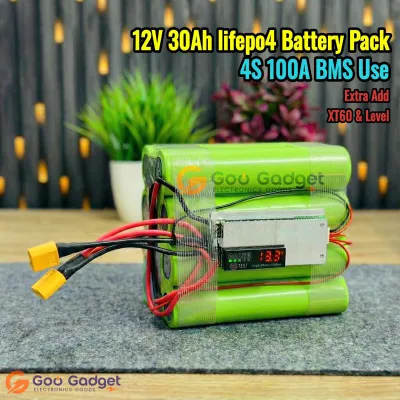 12V 30Ah LiFePO4 Battery Pack | 4S2P | 100A BMS | XT60 & Battery Level_img_1