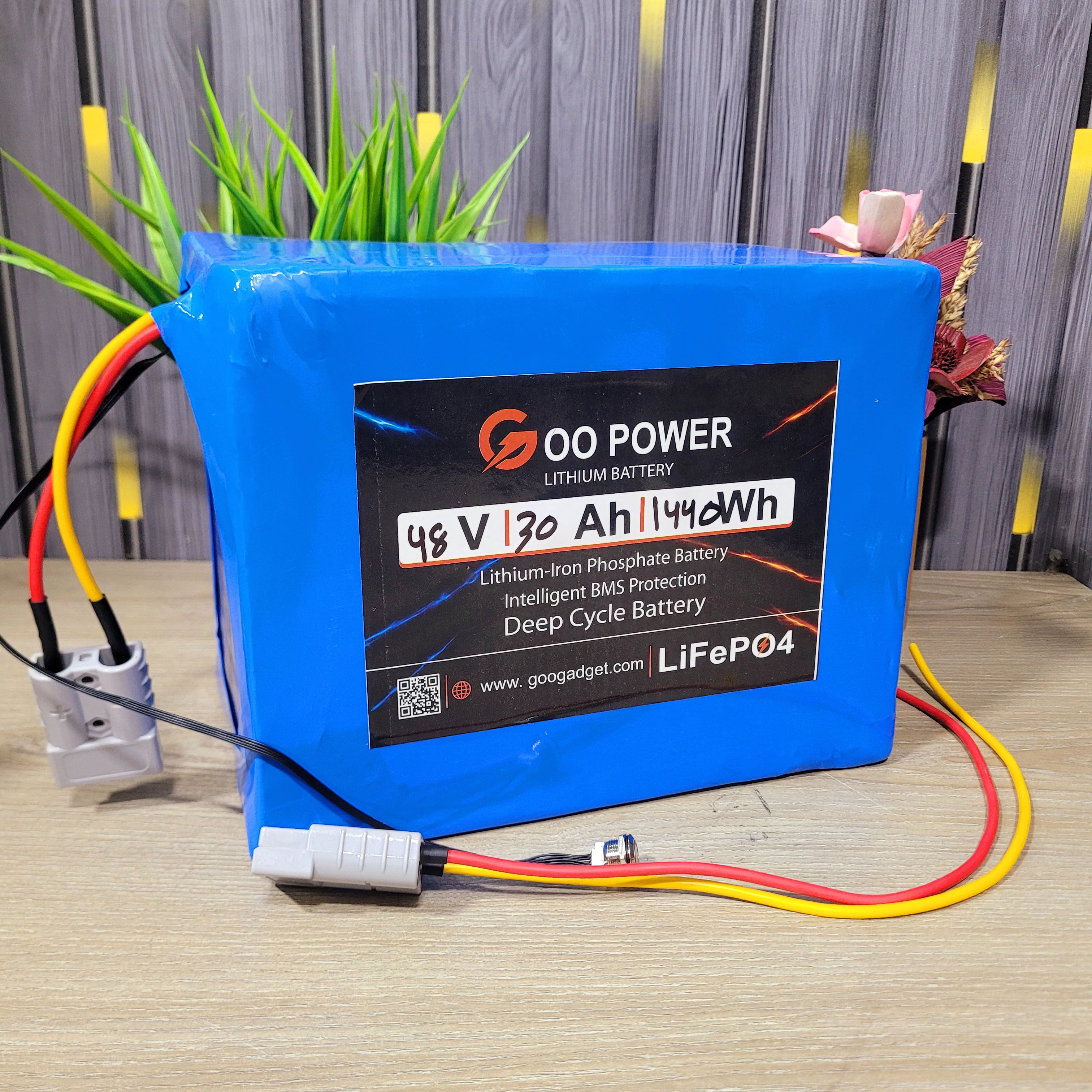 48V 30Ah LiFePO4 Battery Pack for E-Bike & Electric Bike With JK Smart BMS
