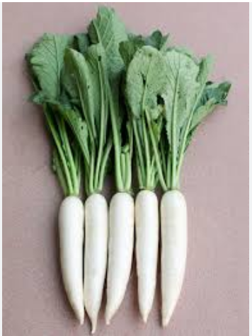 হাইব্রিড কোরিয়ার জাতের মূলার বীজ । Hybrid Korean radish seeds.