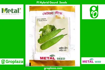 হাইব্রিড লাউ বীজ নাইস গ্ৰীন। F1 Hybrid Gourd Seeds Nice Green_img_0
