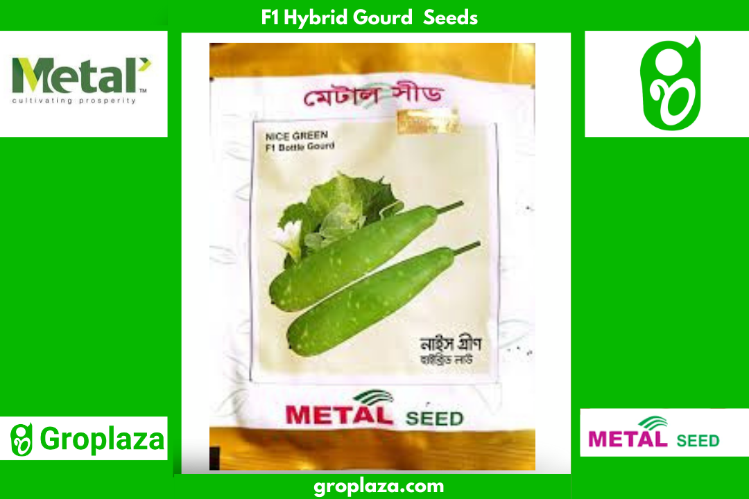হাইব্রিড লাউ বীজ নাইস গ্ৰীন। F1 Hybrid Gourd Seeds Nice Green