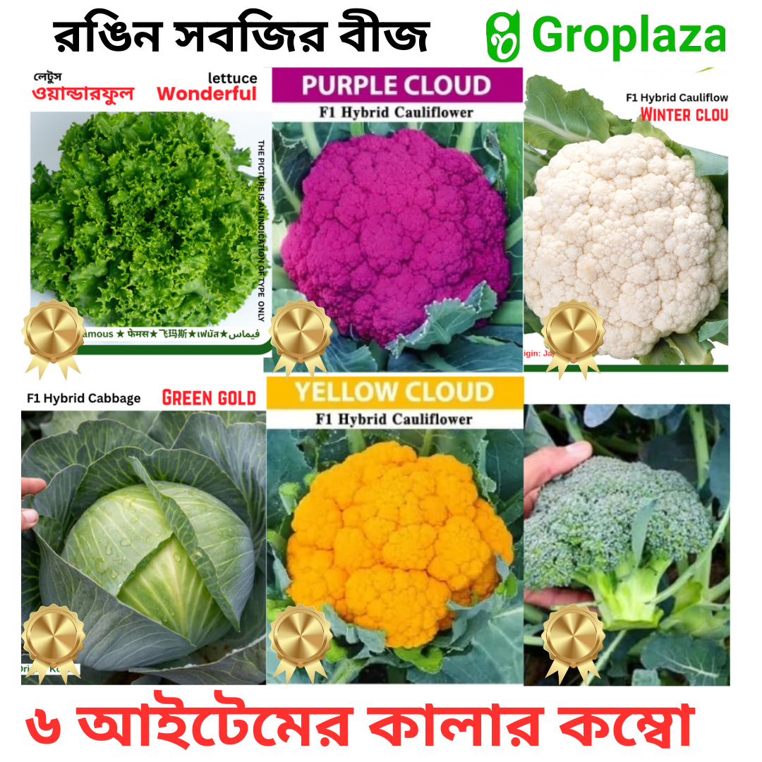 ৬ আইটেমের শীতকালীন রঙিন সবজির কম্বো