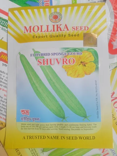 হাইব্রিড ধুন্দল শুভ্র। F1 Hybrid Sponge Gourd Seeds Shuvro_img_0