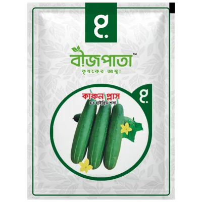 হাইব্রিড শসা বীজ কাঞ্চন প্লাস । F1 Hybrid Cucumber Seeds Kanchan plus_img_0