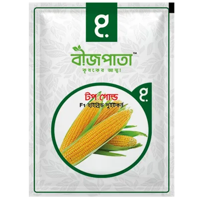 টপ গোল্ড এফ১ হাইব্রিড সুইট কর্ন বীজ।  Top Gold Sweet Corn Seed_img_0