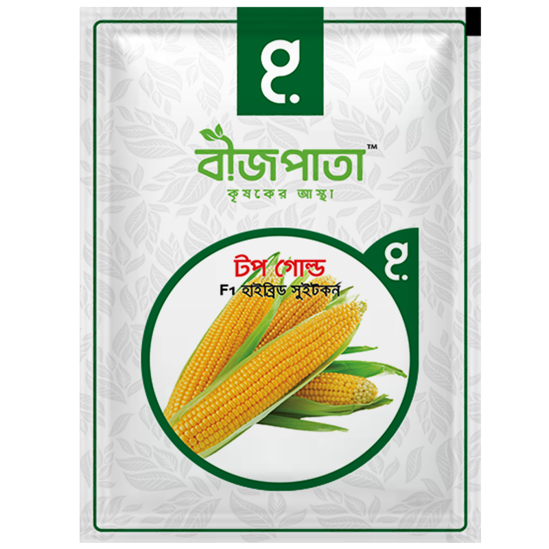 টপ গোল্ড এফ১ হাইব্রিড সুইট কর্ন বীজ।  Top Gold Sweet Corn Seed_img_0