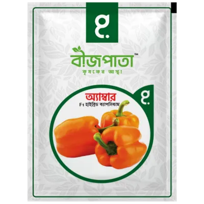 অ্যাম্বার এফ১ হাইব্রিড ক্যাপসিকাম বীজ।  Amber F1 Hybrid Capsicum Seeds_img_0
