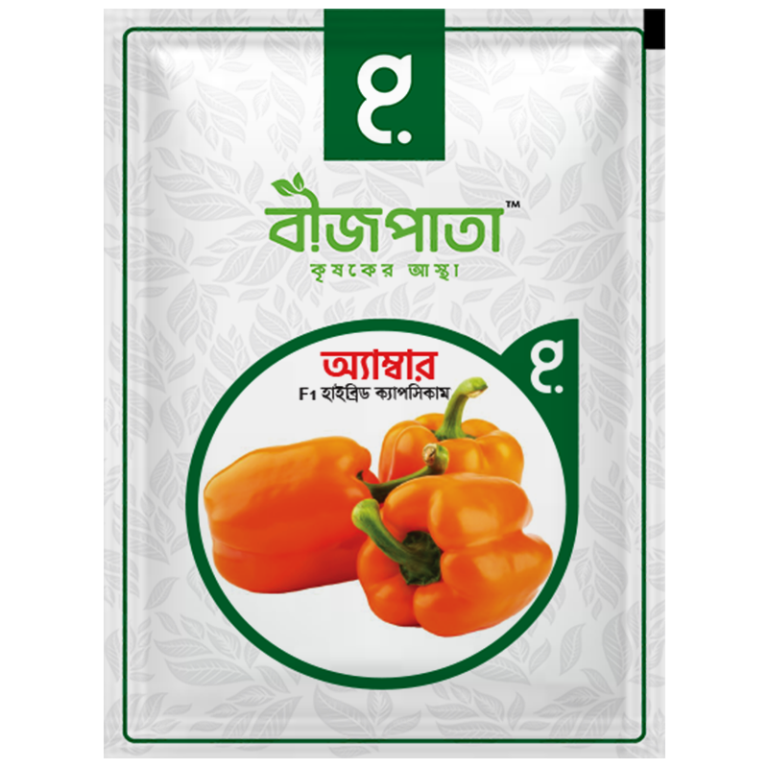 অ্যাম্বার এফ১ হাইব্রিড ক্যাপসিকাম বীজ।  Amber F1 Hybrid Capsicum Seeds_img_0