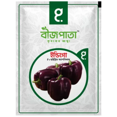 ইন্ডিগো এফ১ হাইব্রিড ক্যাপসিকাম বীজ। Indigo F1 Hybrid Capsicum Seeds_img_0