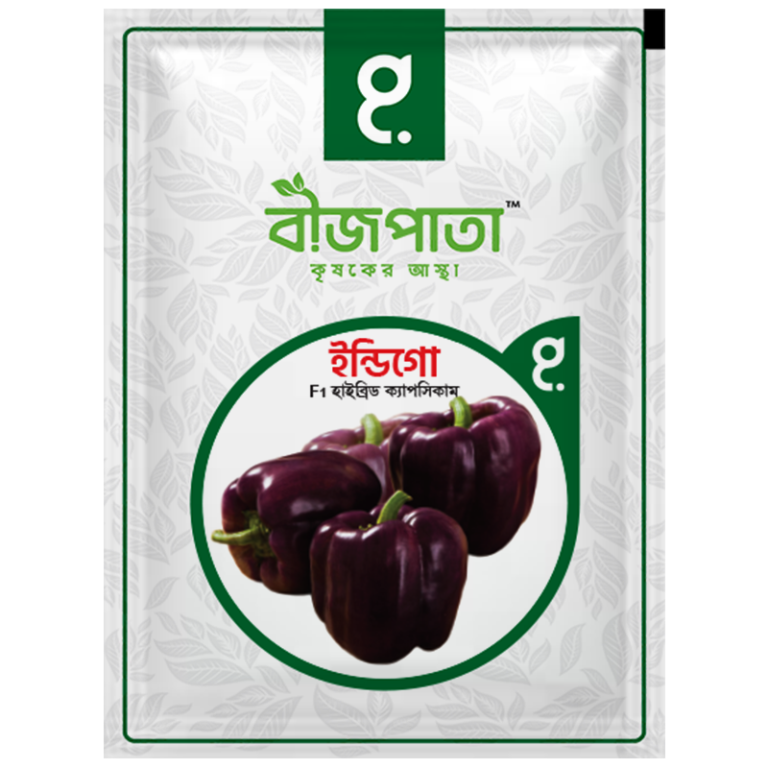 ইন্ডিগো এফ১ হাইব্রিড ক্যাপসিকাম বীজ। Indigo F1 Hybrid Capsicum Seeds_img_0