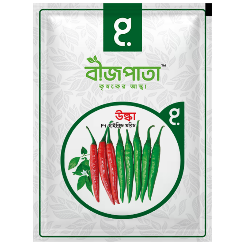 উল্কা এফ১ হাইব্রিড মরিচ বীজ। Ulaka F1 Hybrid Chilli Seeds_img_0