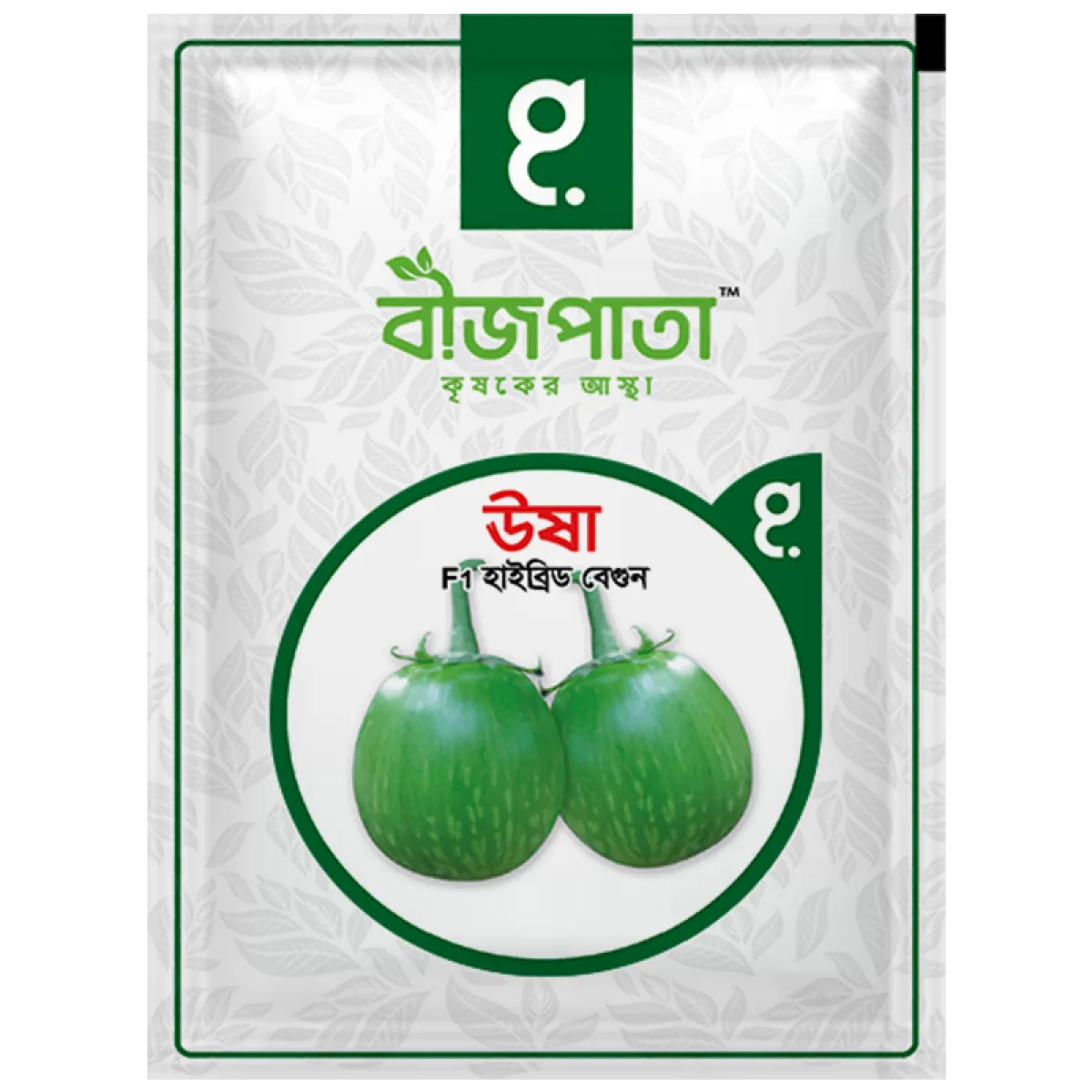 ঊষা এফ১ হাইব্রিড বেগুন বীজ। Usha F1 Hybrid Brinjal Seeds