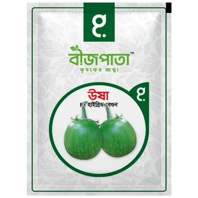 ঊষা এফ১ হাইব্রিড বেগুন বীজ। Usha F1 Hybrid Brinjal Seeds_img_0
