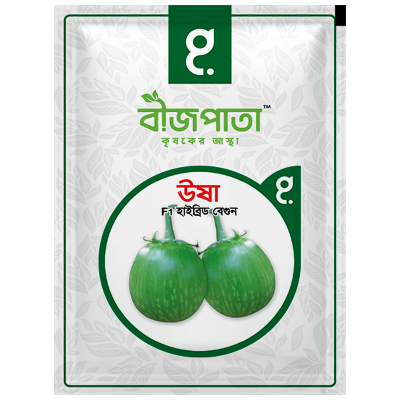 ঊষা এফ১ হাইব্রিড বেগুন বীজ। Usha F1 Hybrid Brinjal Seeds_img_0