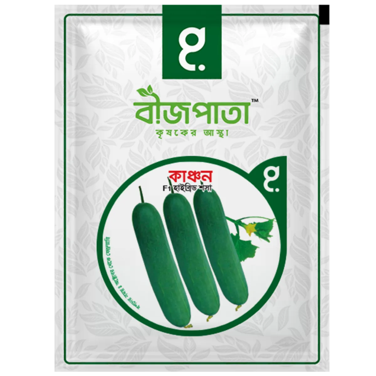 কাঞ্চন এফ১ হাইব্রিড শসা বীজ। Kanchan Plus F1 Hybrid Cucumber Seeds