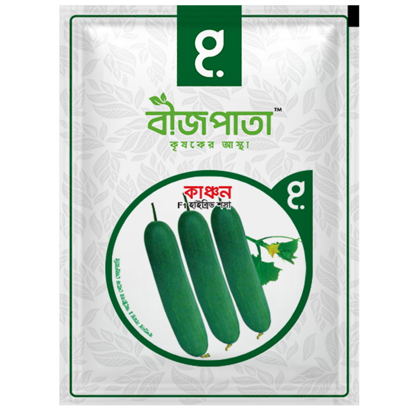 কাঞ্চন এফ১ হাইব্রিড শসা বীজ। Kanchan Plus F1 Hybrid Cucumber Seeds_img_0