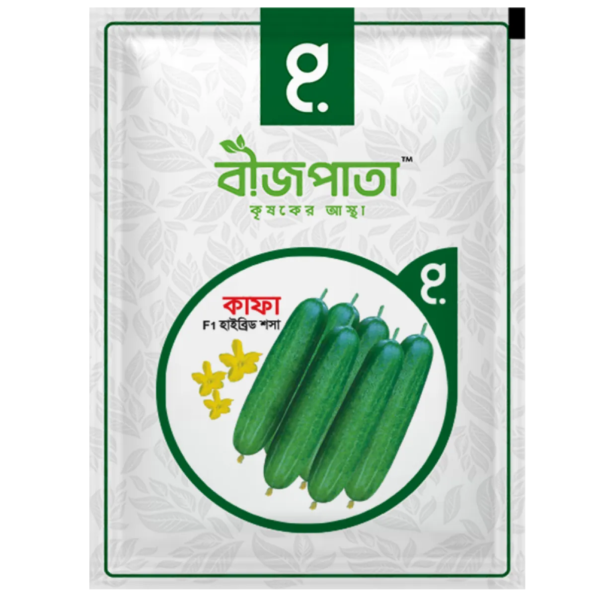 কাফা প্লাস  এফ১ হাইব্রিড শসা বীজ। Kafa plus  F1 Hybrid Cucumber Seeds