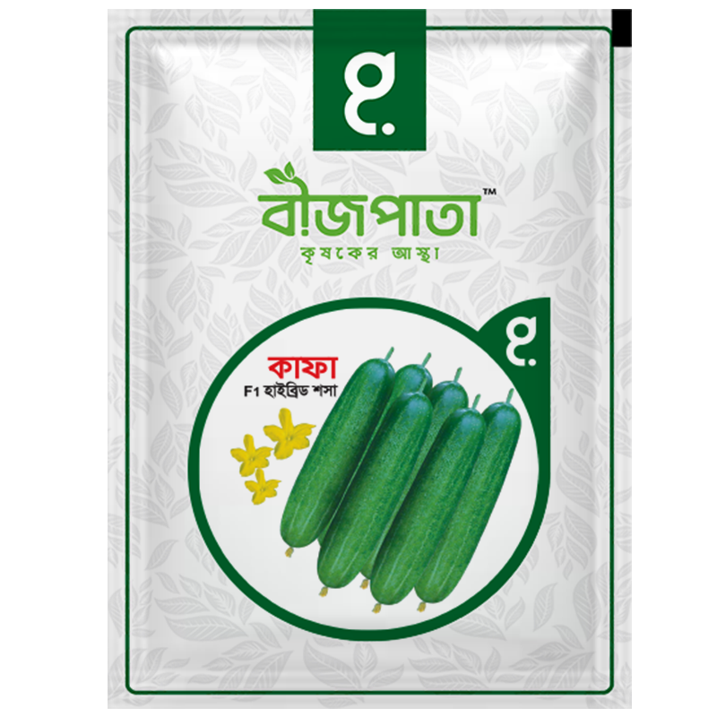 কাফা প্লাস  এফ১ হাইব্রিড শসা বীজ। Kafa plus  F1 Hybrid Cucumber Seeds_img_0