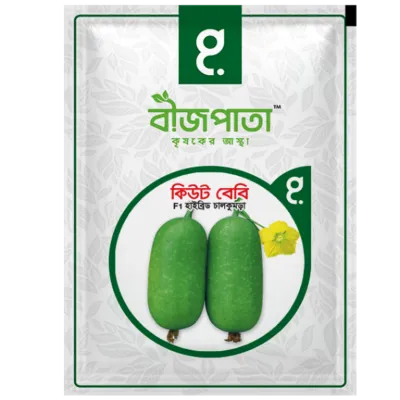 কিউট বেবি এফ১ হাইব্রিড চালকুমড়া বীজ। Cute Baby F1 Hybrid Rice Pumpkin Seeds_img_0