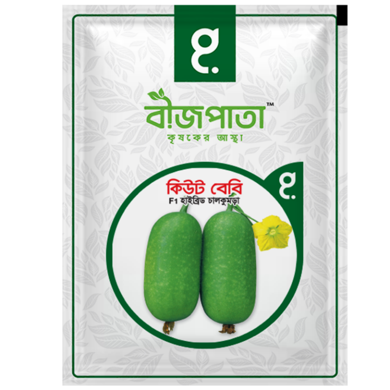 কিউট বেবি এফ১ হাইব্রিড চালকুমড়া বীজ। Cute Baby F1 Hybrid Rice Pumpkin Seeds