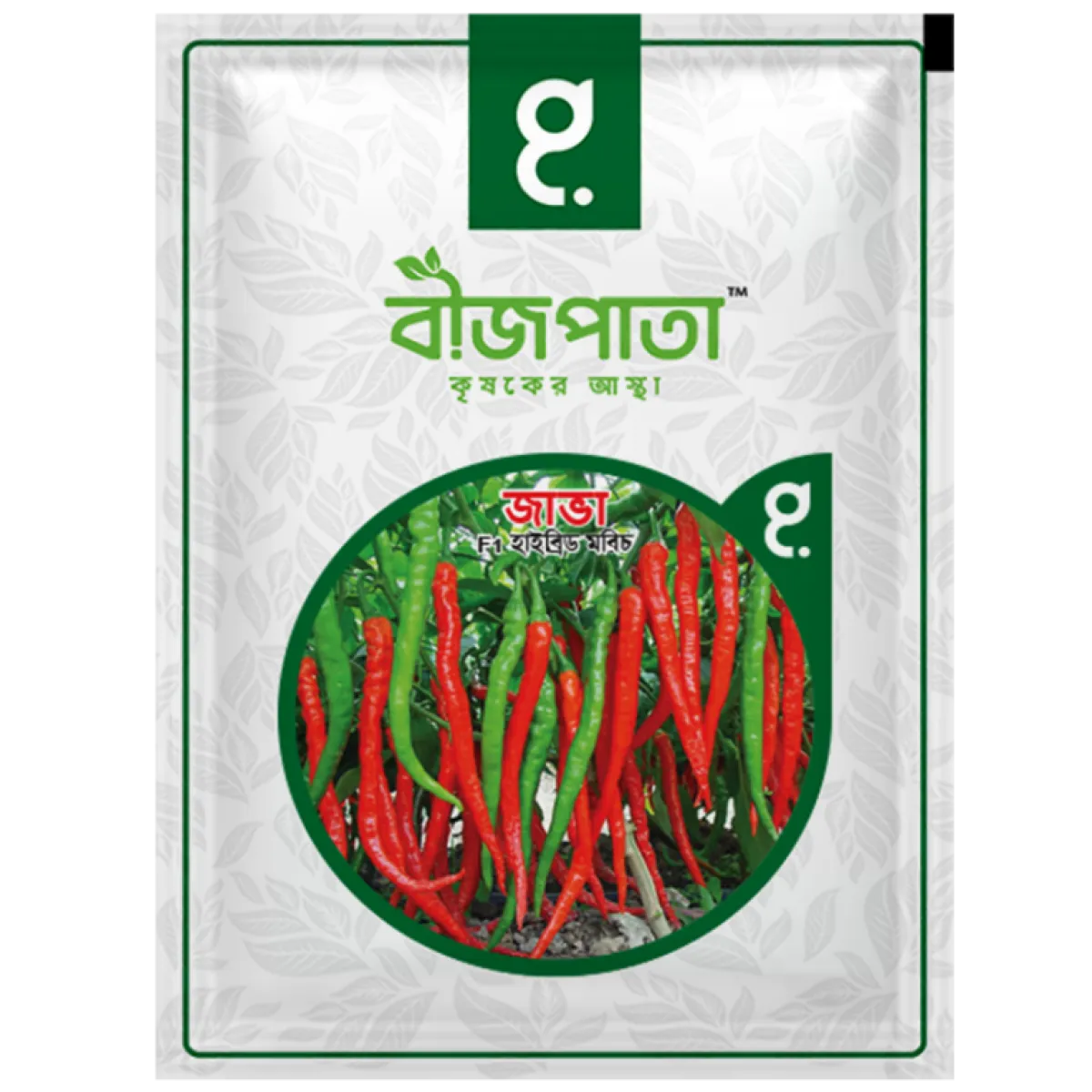 জাভা এফ১ হাইব্রিড মরিচ বীজ। Java F1 Hybrid Chilli Seeds
